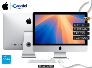 APPLE IMAC A2116 21.5" 4K CORE I5, 16GB RAM, 1 TB SSD, 4GB GRAFICA